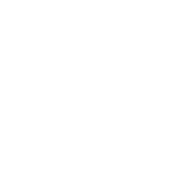 cisco-premier-partner